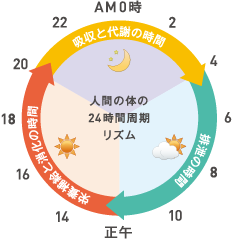 では、酵素をたっぷりとるにはどんなものを食べればよいのでしょう