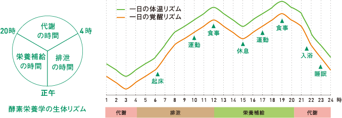 理想の生活リズムを守って健やかな毎日に